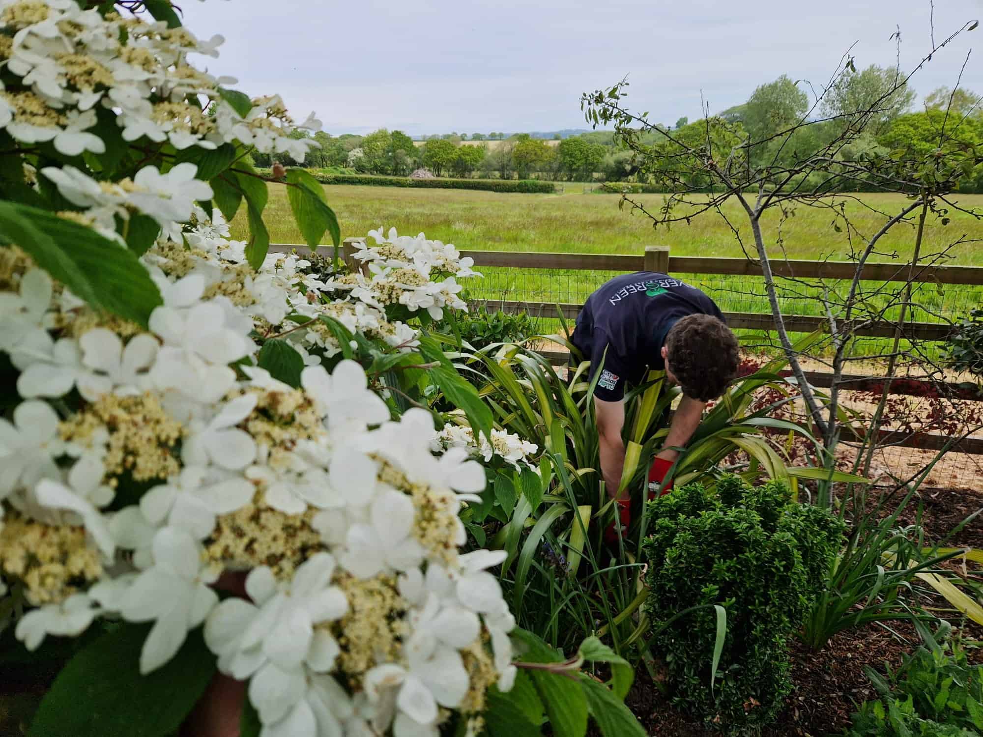 Garden Design and Build Devon 7