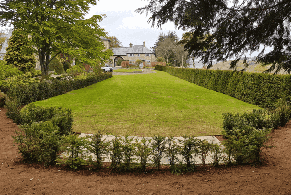 Lawn care and hedge trimming service in North Devon by Evergreen Landscaping.