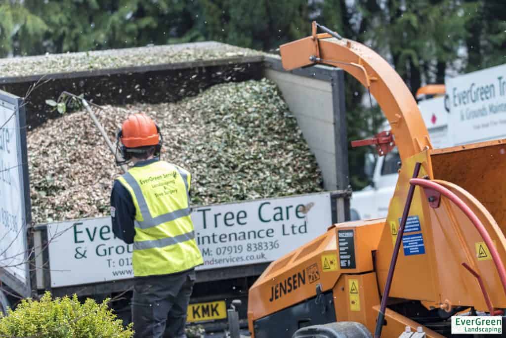 EVERGREEN TREE SURGERY TAWSTOCKALTITUDE58 (22 of 36)