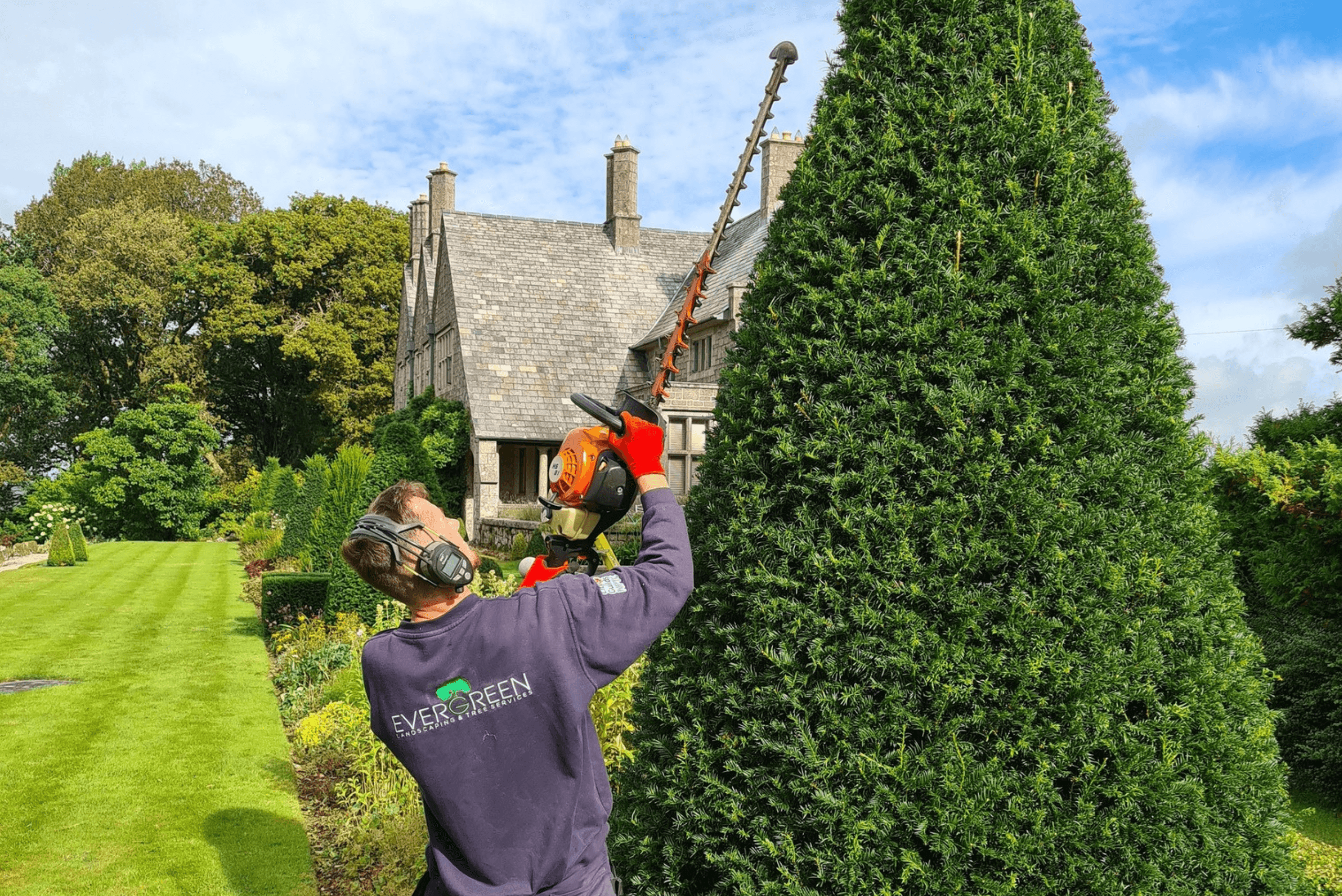 Hedge Services Across North Devon