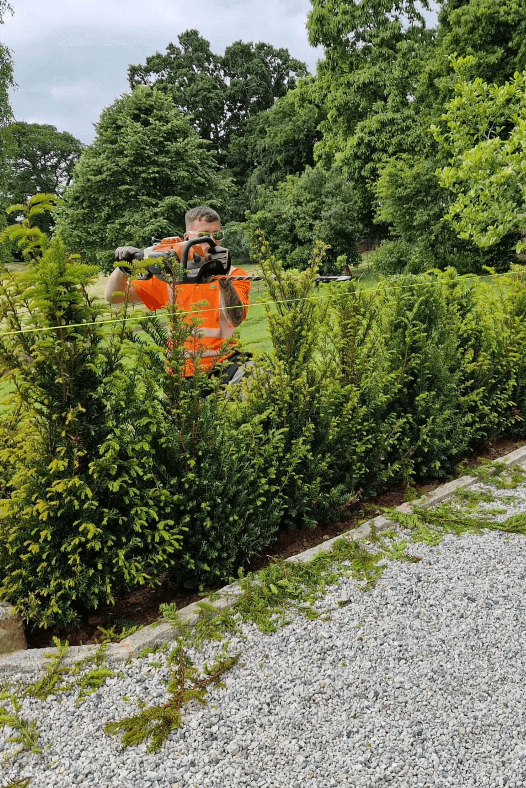 hedge services devon