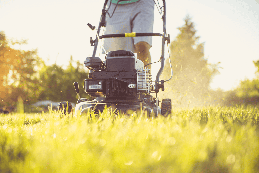 autumn lawn care Devon