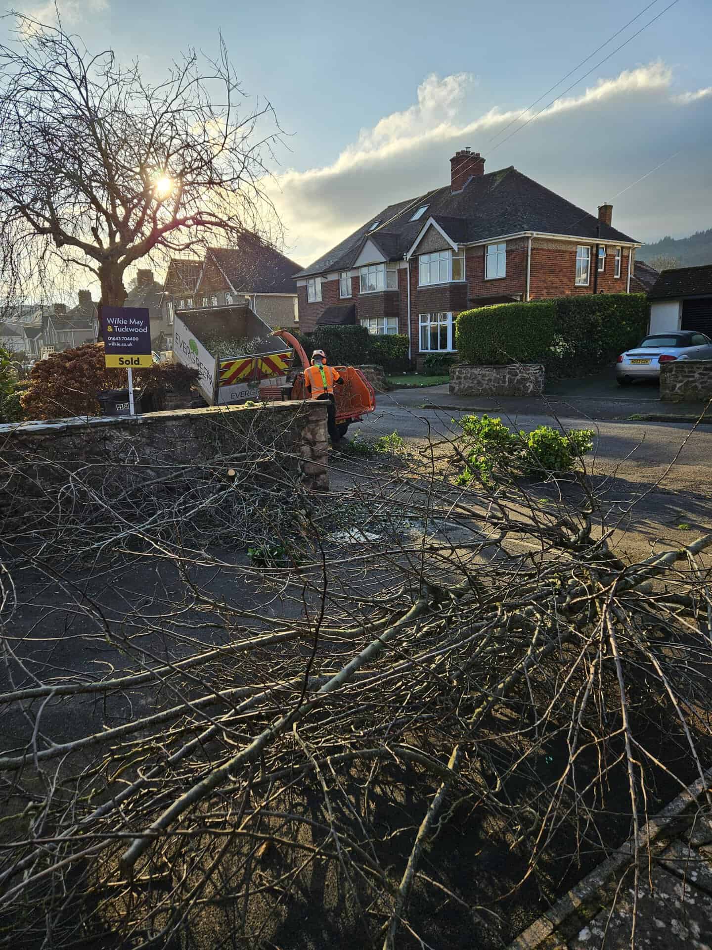 Emergency tree removal service in Barnstaple by Evergreen Landscaping & Tree Services.
