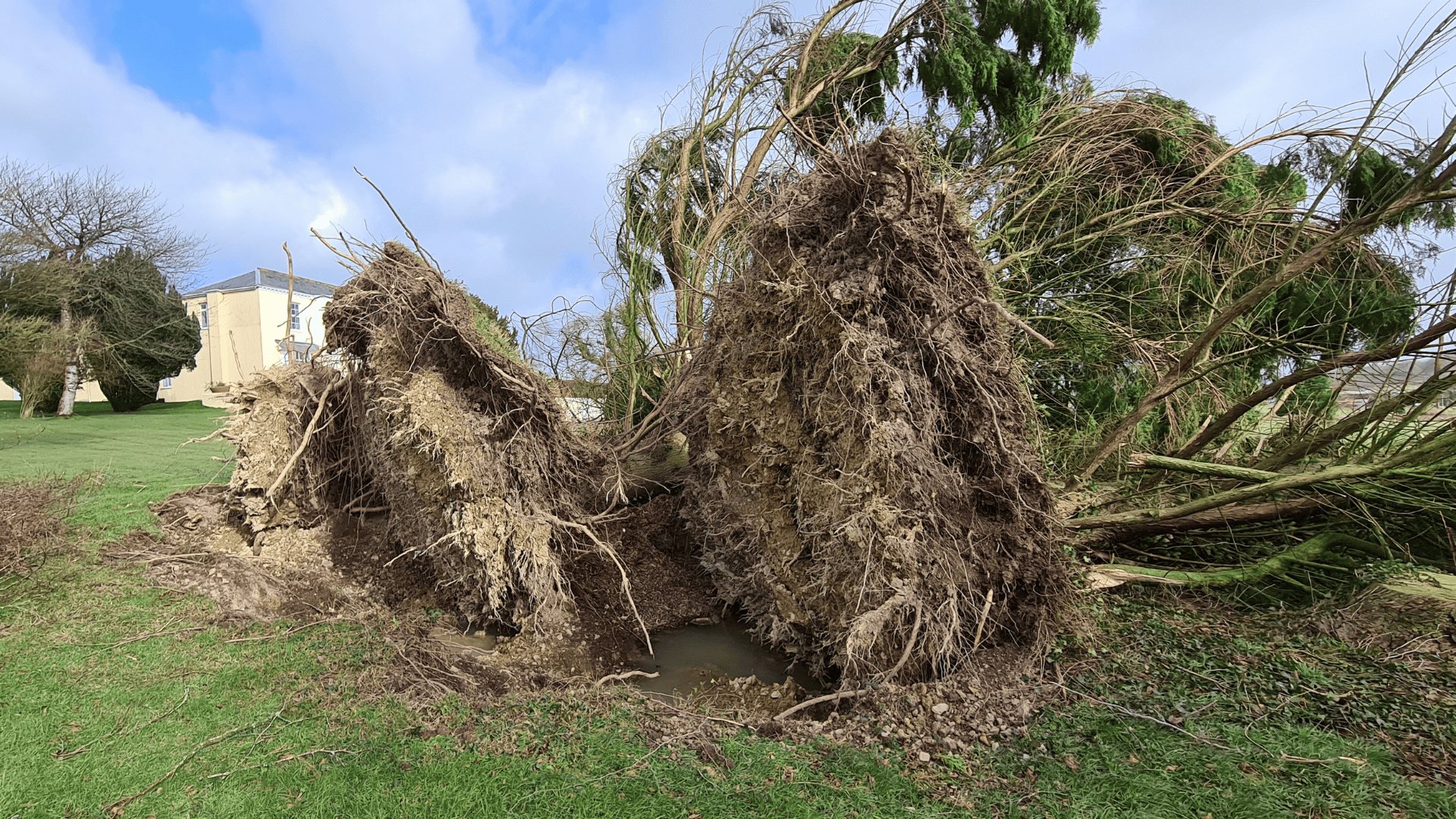 Emergency tree removal service in Barnstaple, North Devon by Evergreen Landscaping & Tree Services.