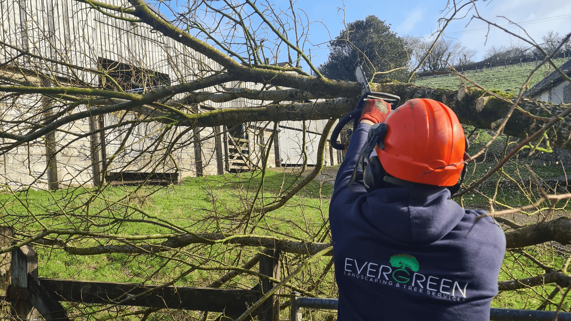 Emergency tree removal in Barnstaple by Evergreen Landscaping & Tree Services in North Devon.